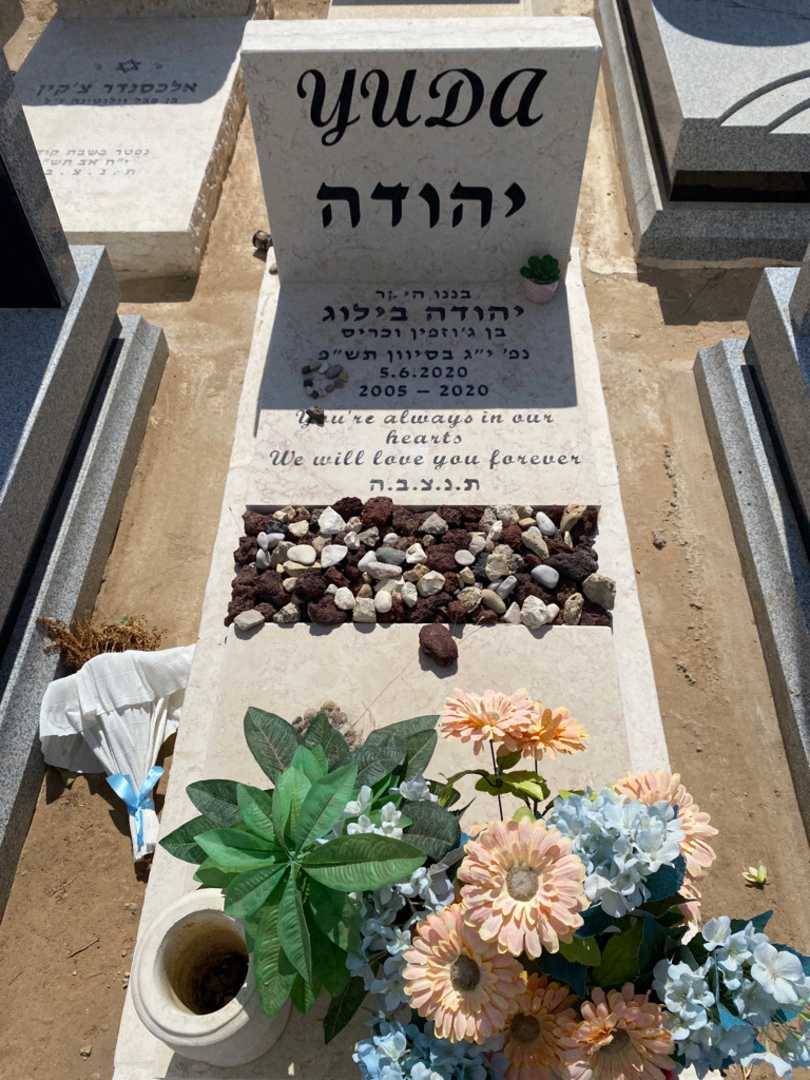 קברו של יהודה בילוג