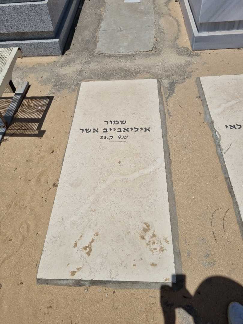 קברו של אשר איליאבייב