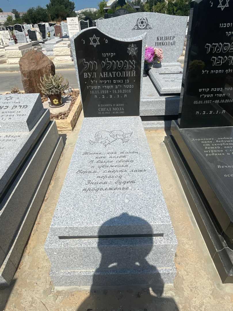 קברו של אנטולי וול
