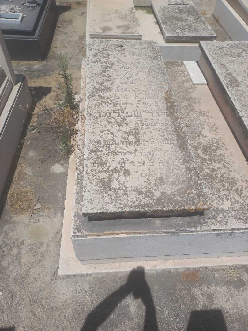 קברו של דוד שפילמן. תמונה 2