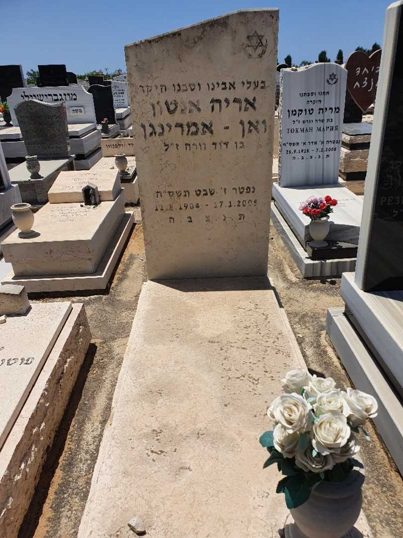 קברו של אריה אנטון ואן אמרינגן