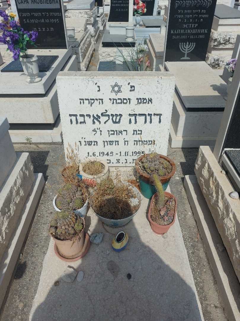 קברו של דורה שליאגה