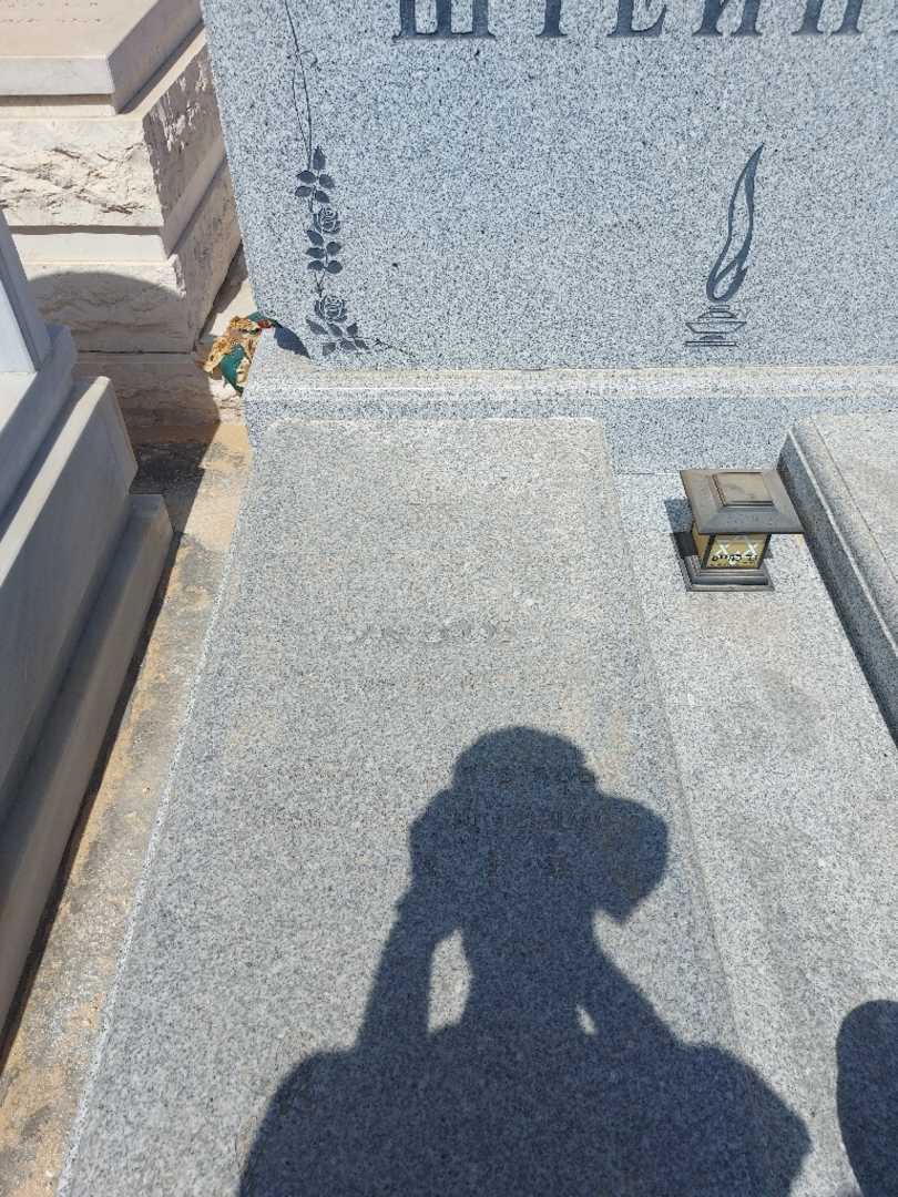 קברו של מיכאל שטיינברג. תמונה 2