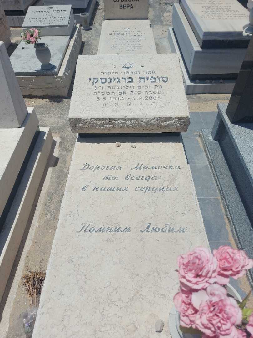 קברו של סופיה ברגינסקי