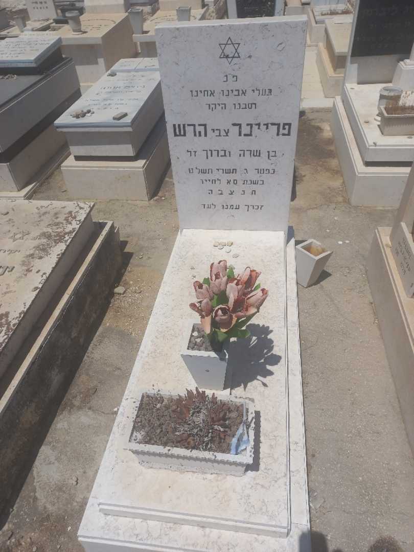 קברו של פריינר "צבי" הרש