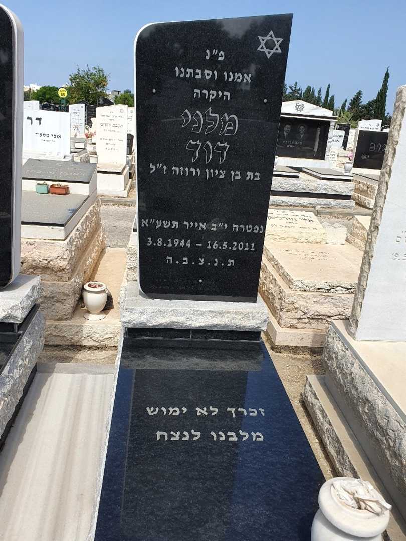 קברו של מלני דוד