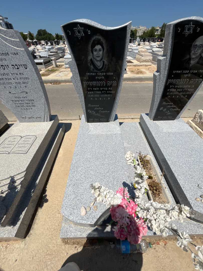 קברו של גניה רוזנשטיין. תמונה 1