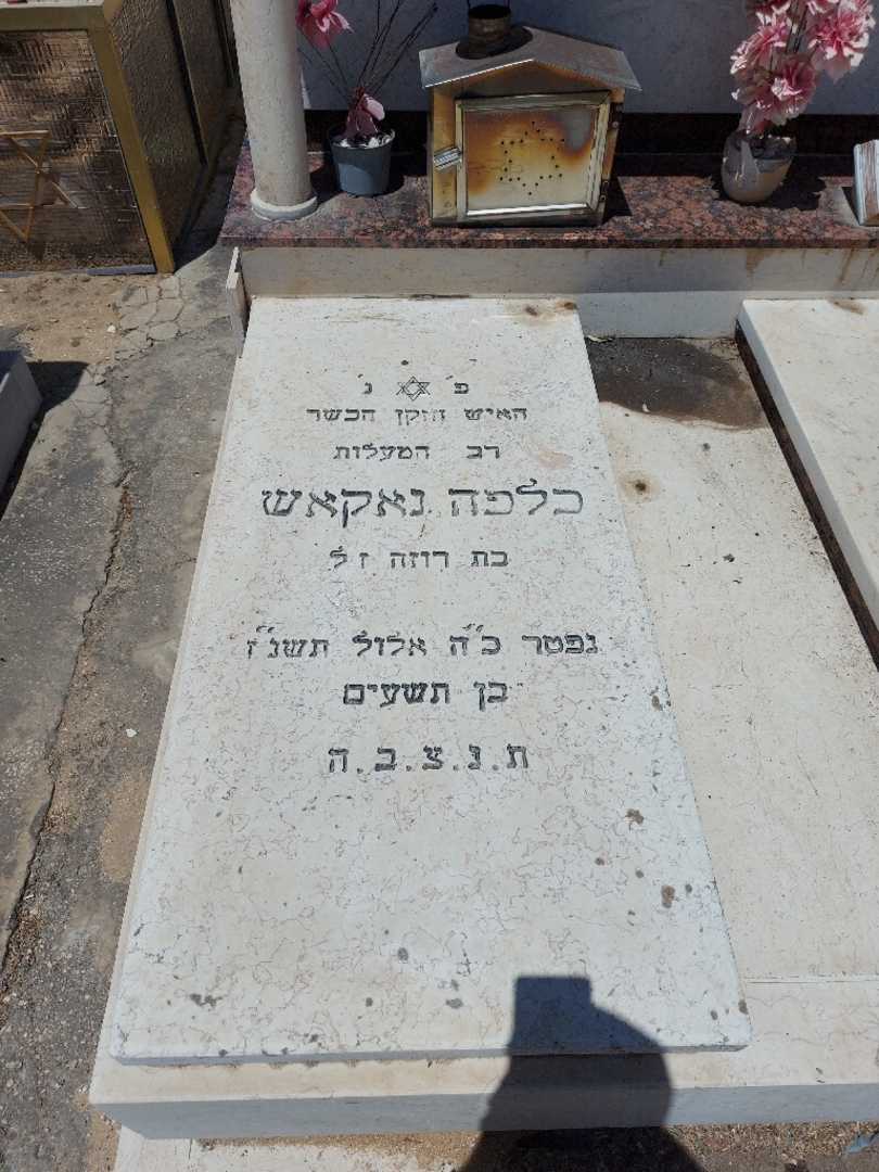 קברו של כלפה נקש. תמונה 2