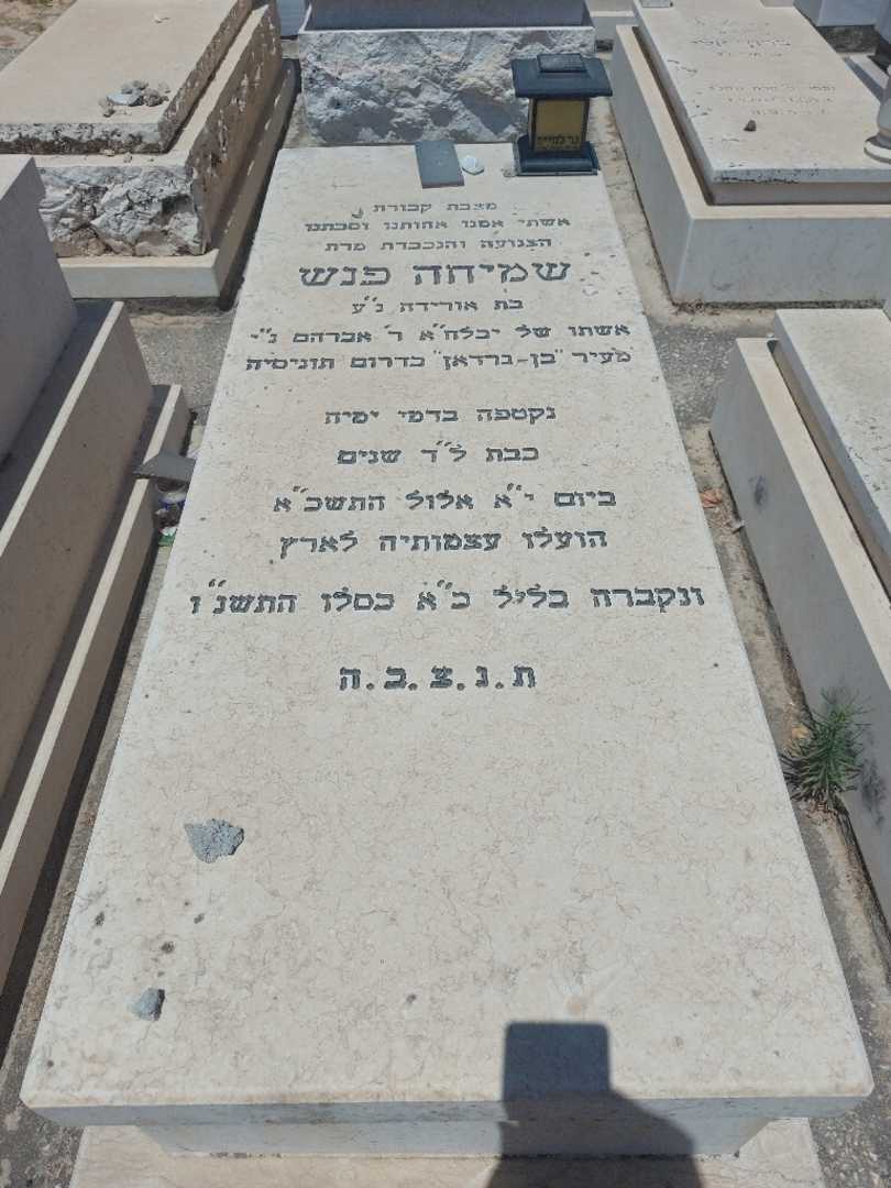 קברו של שמיחה פנש