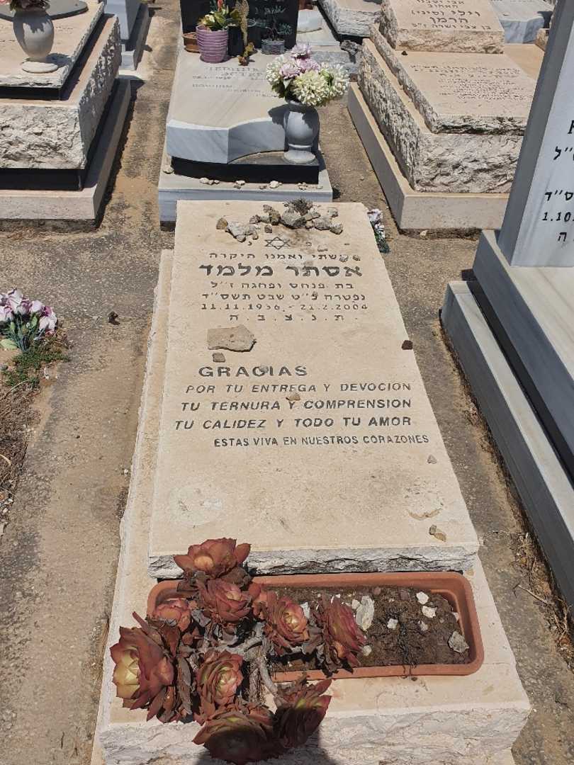 קברו של אסתר מלמד