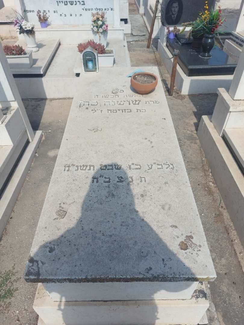 קברו של שושנה כהן