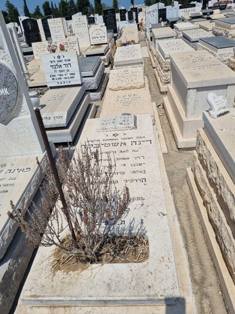 קברו של דינה אשטיבקר