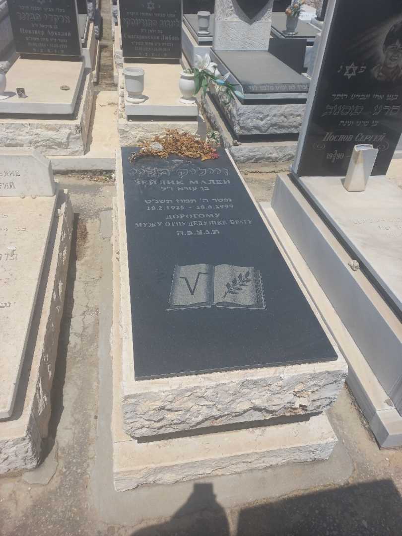 קברו של זייליק מליי