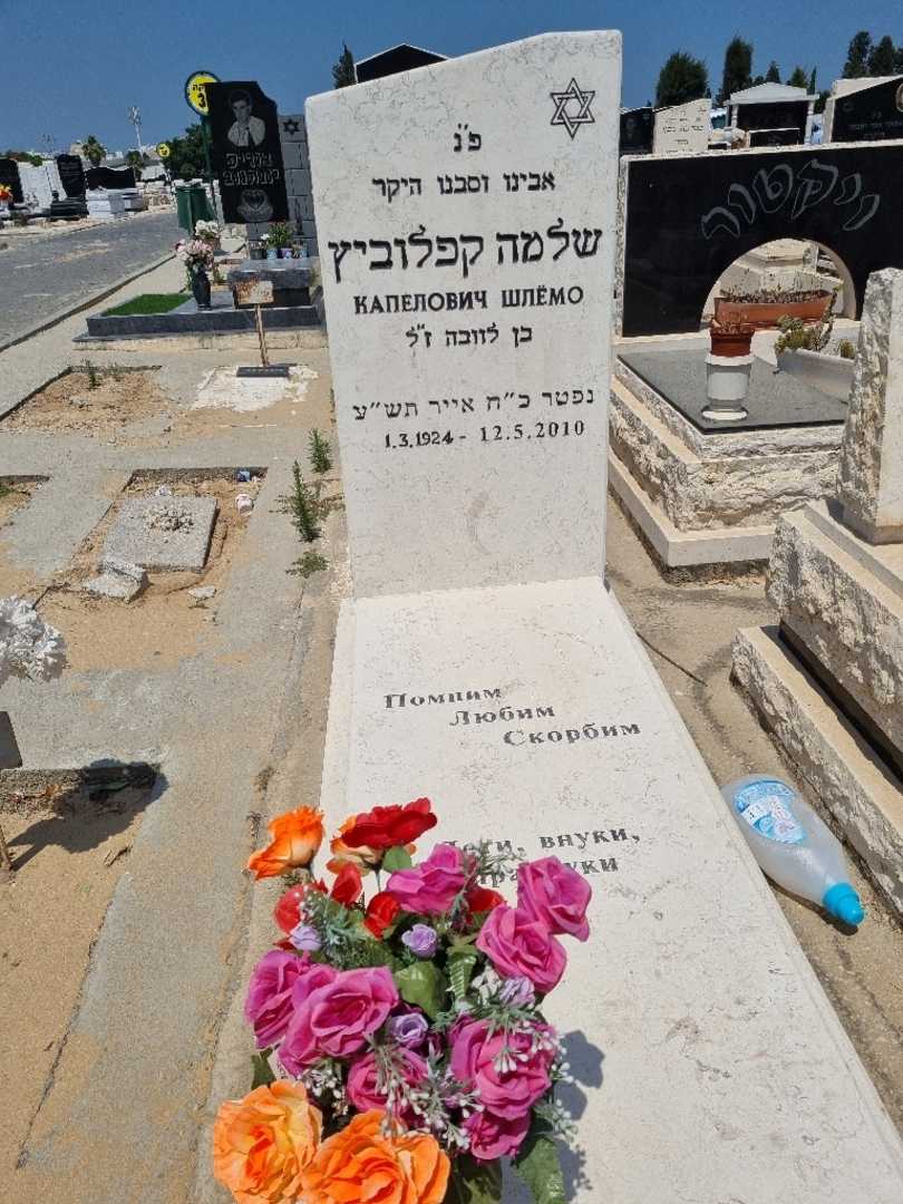 קברו של שלמה קפלוביץ
