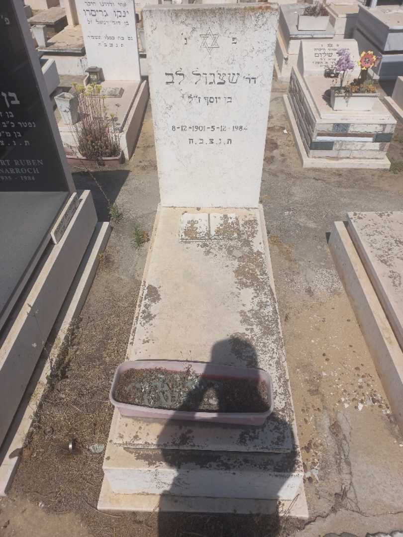 קברו של שדיגיל לייב