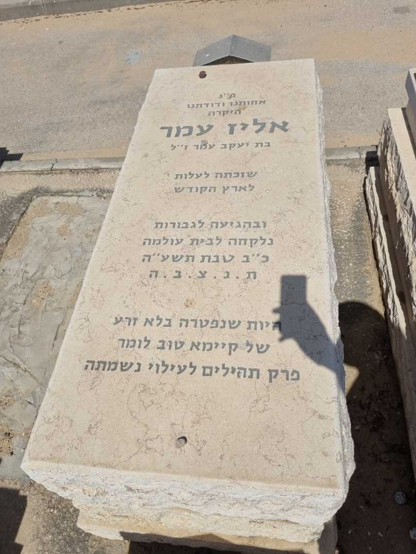 קברו של אליז אמר