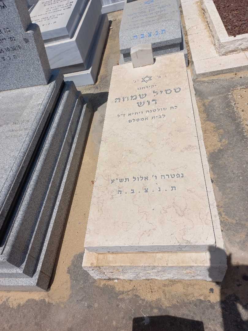 קברו של ססיל שמחה רוש