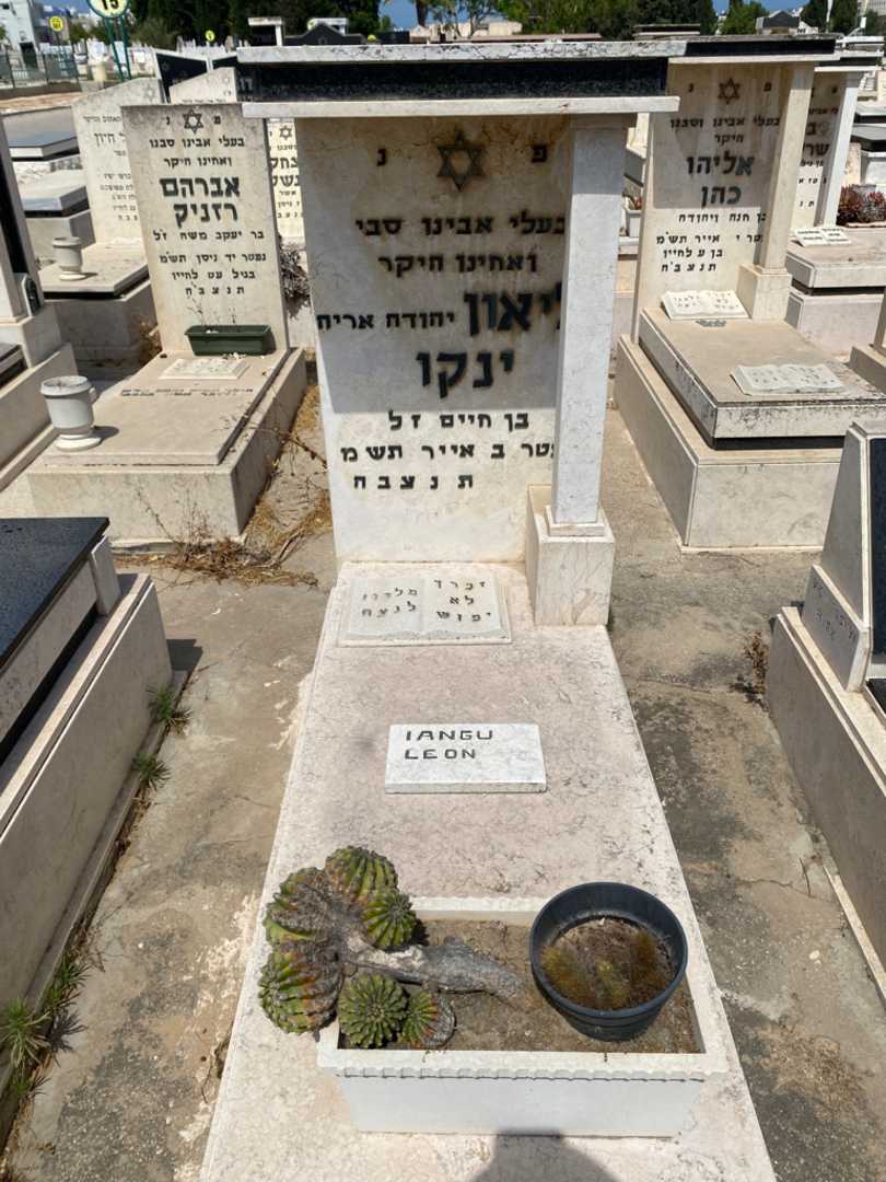 קברו של ליאון "יהודה  אריה" ינקו. תמונה 1