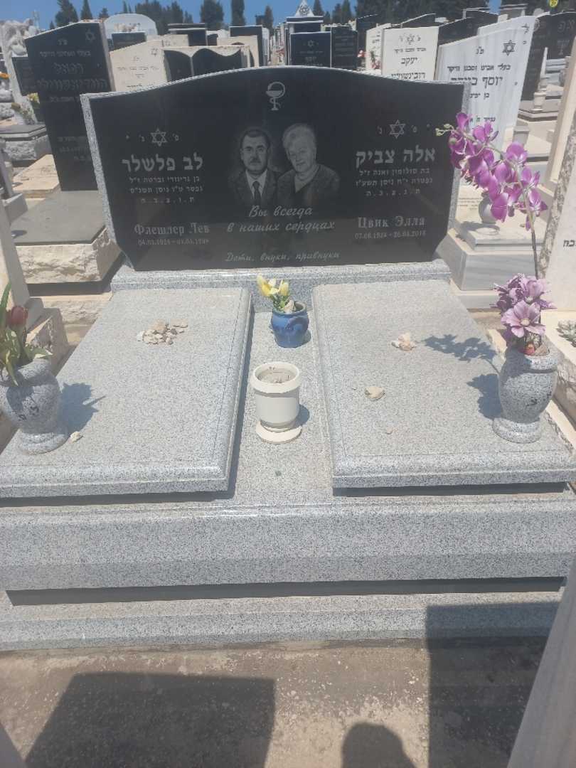 קברו של לב פלשלר. תמונה 1