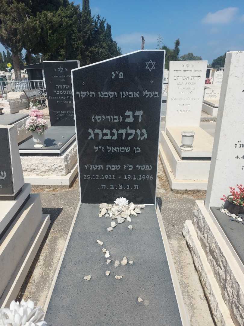קברו של דב "בוריס" גולדנברג