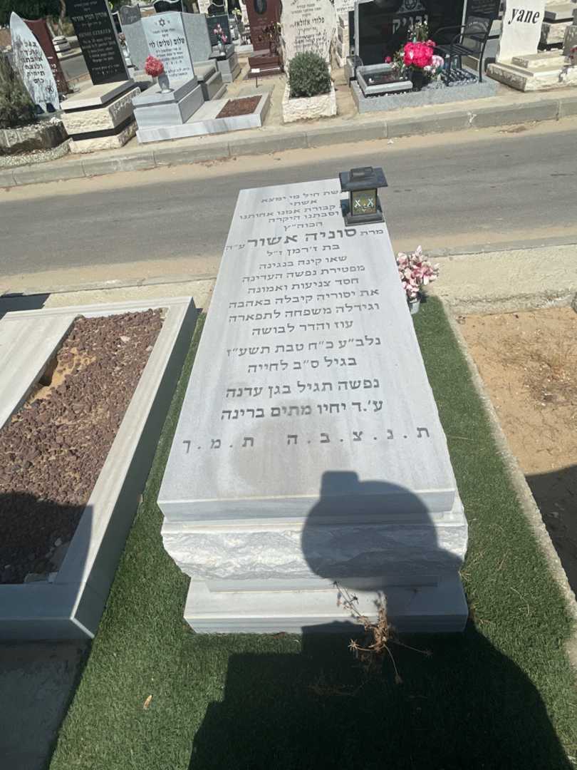 קברו של סוניה אשור
