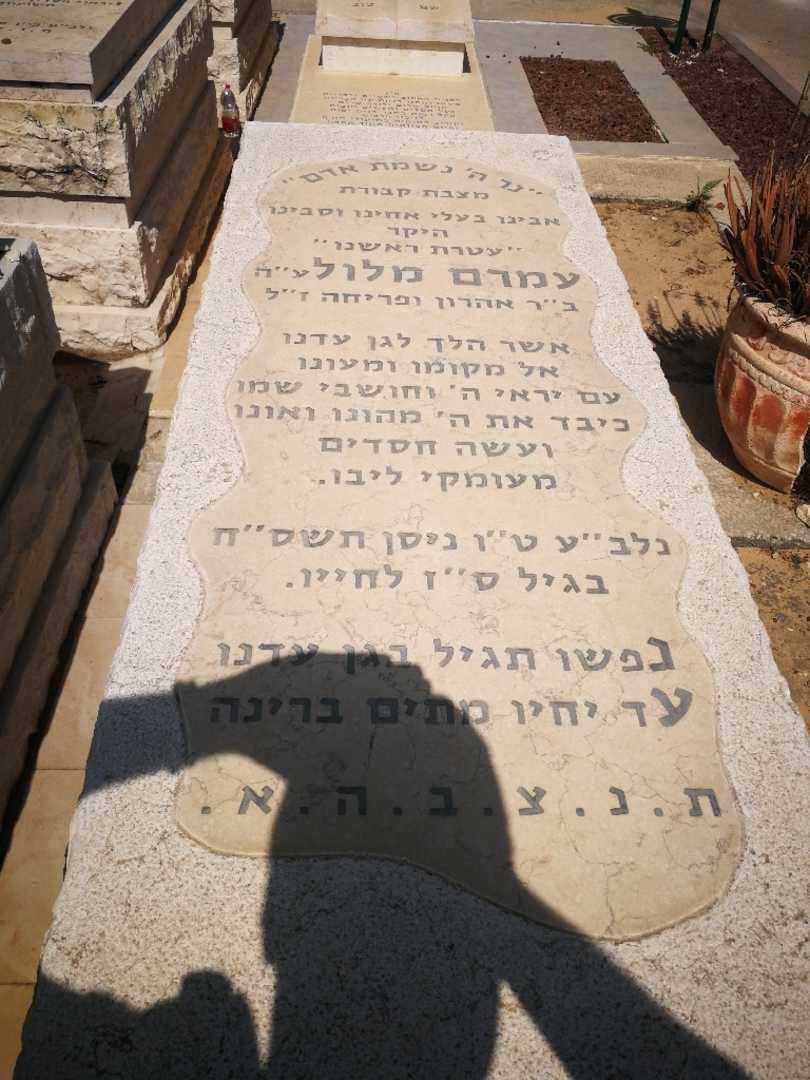 קברו של עמרם מלול