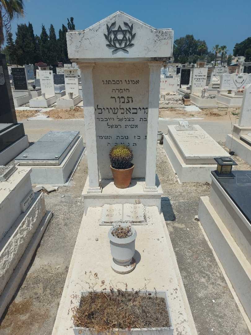 קברו של תמר מיכאלשוילי. תמונה 1