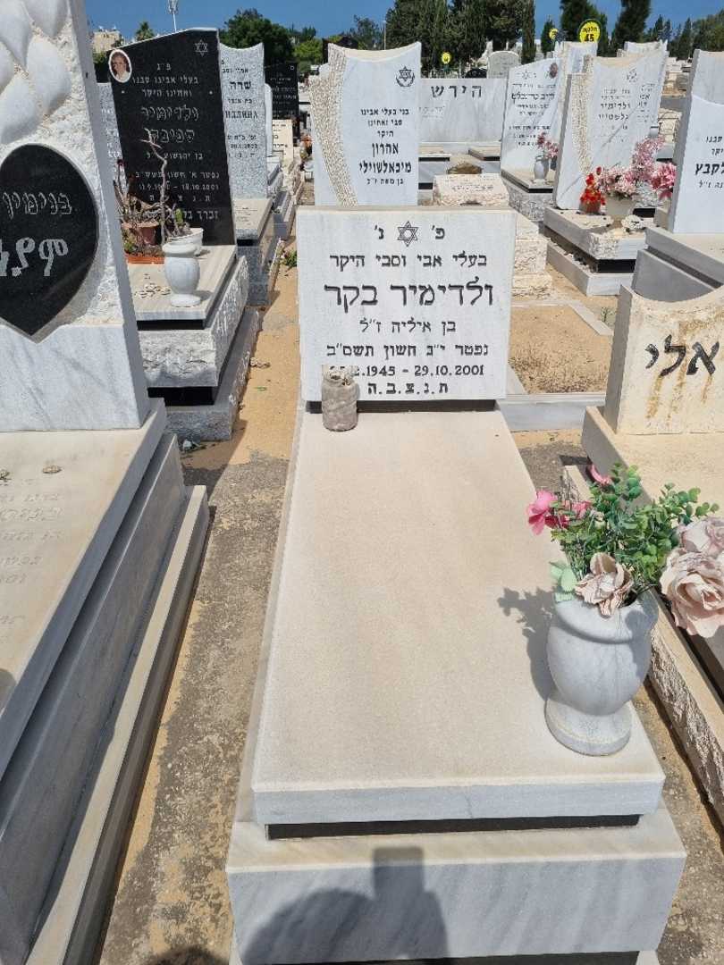 קברו של ולדימיר בקר