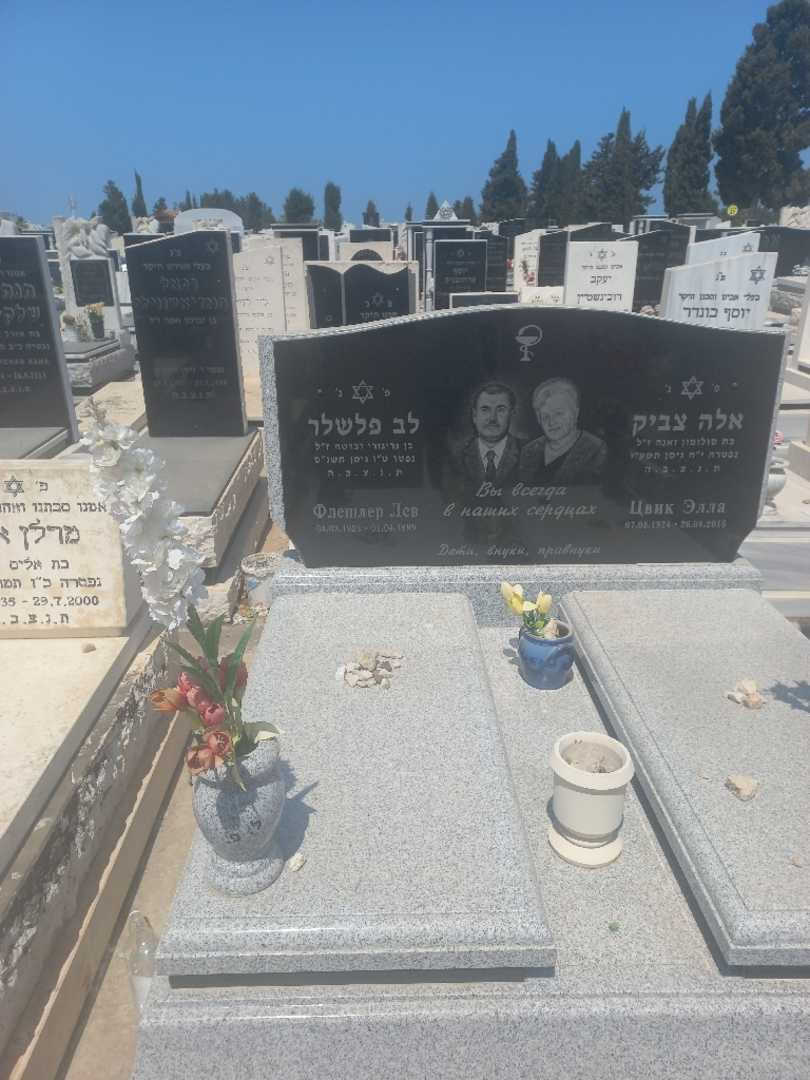 קברו של לב פלשלר. תמונה 2