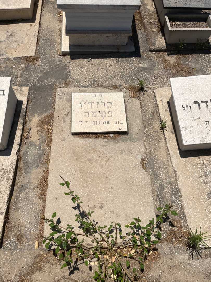 קברו של פחימה קלודין