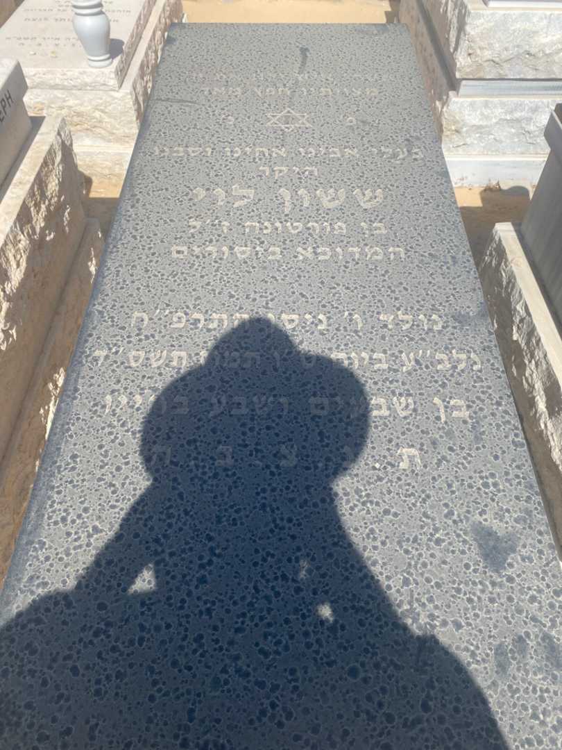 קברו של ששון לוי