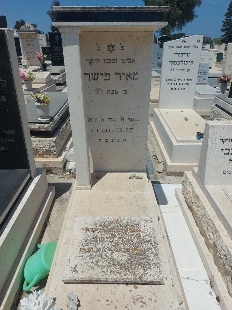 קברו של מאיר פישר