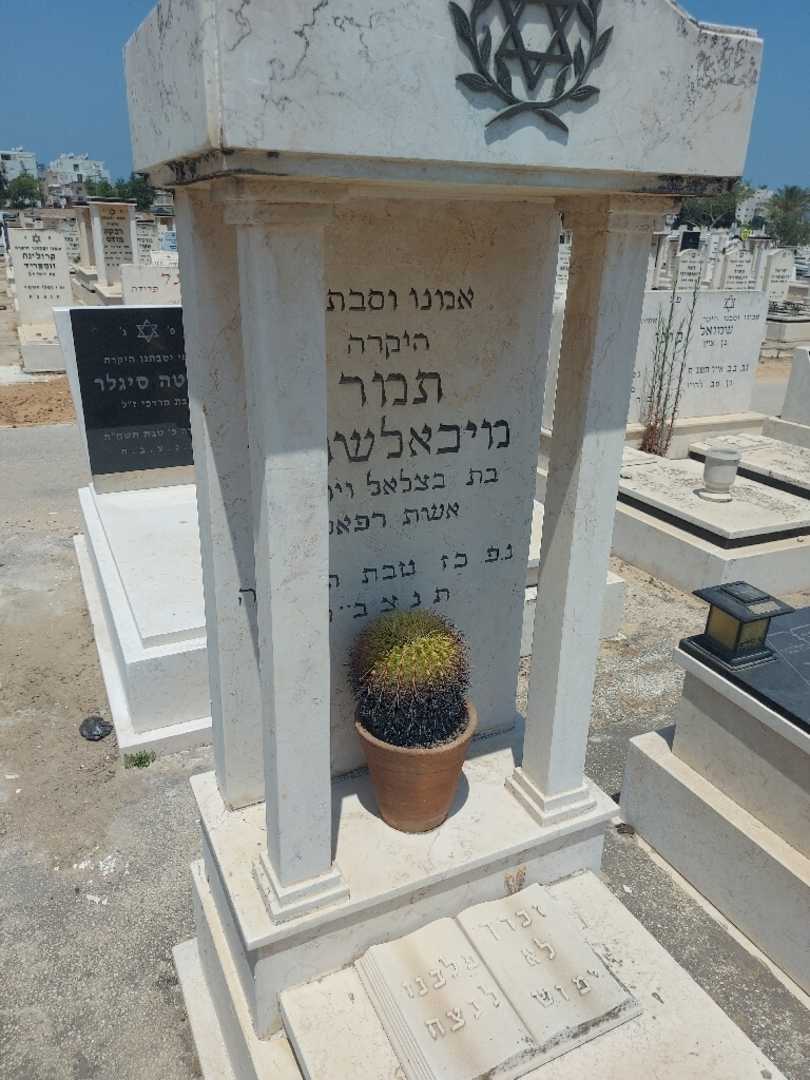 קברו של תמר מיכאלשוילי. תמונה 2