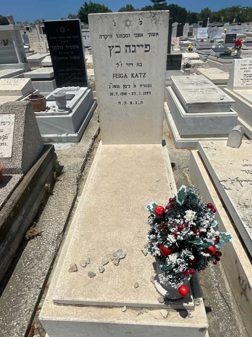 קברו של פייגה כץ