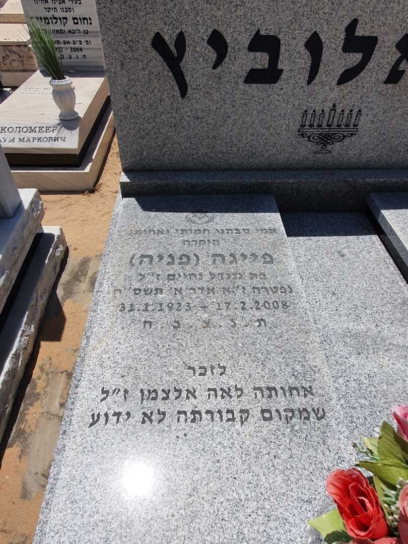 קברו של פייגה "פניה" רפאלוביץ. תמונה 2