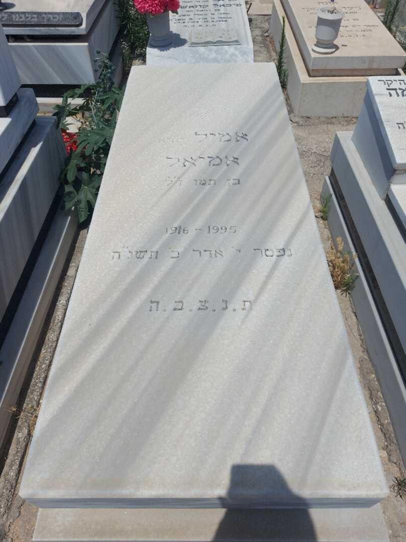 קברו של אמיל "יחיא" אמיאל