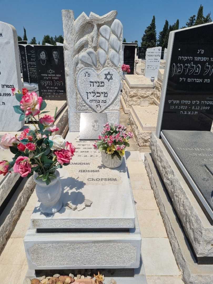 קברו של פניה מיכלין
