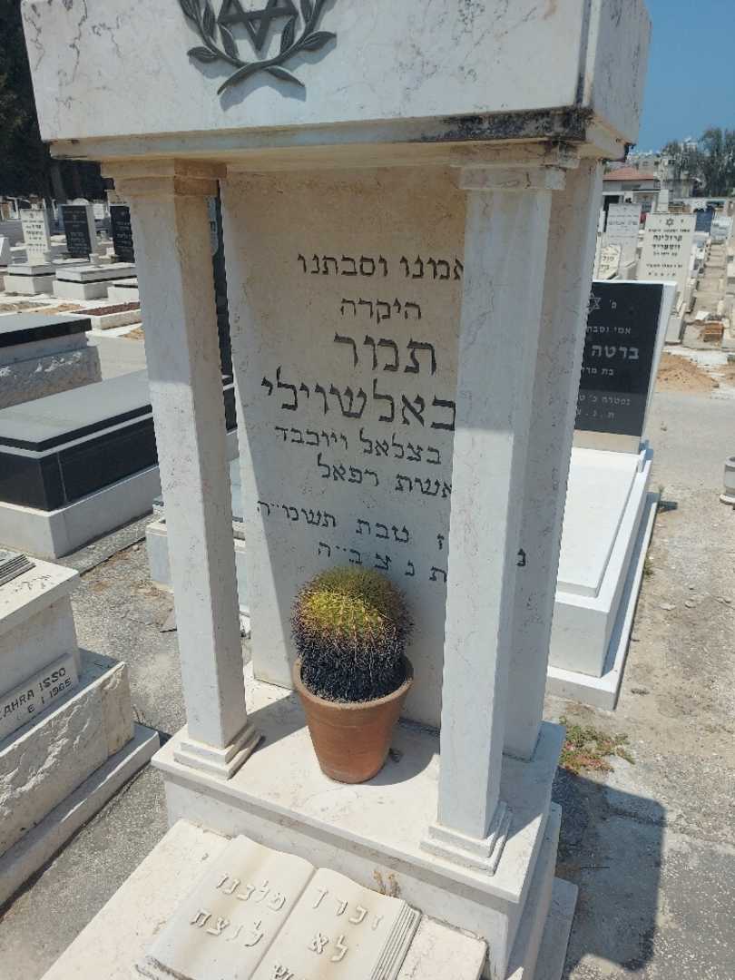 קברו של תמר מיכאלשוילי. תמונה 3