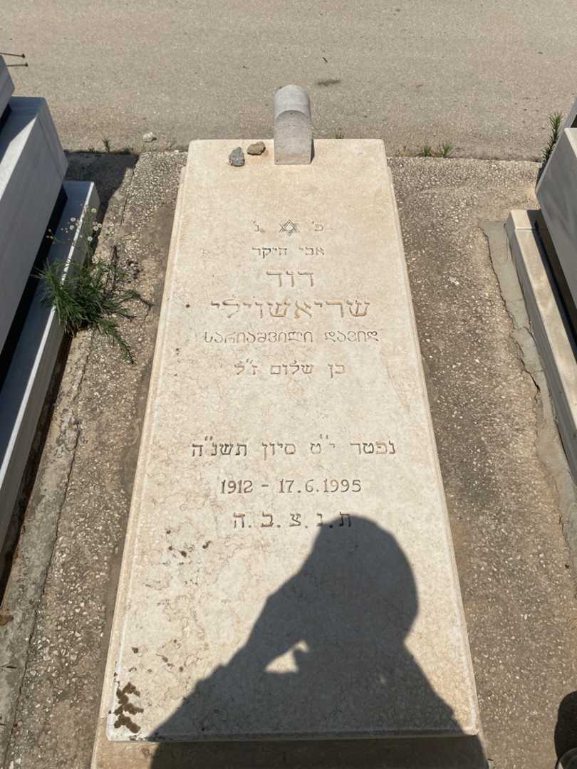 קברו של דוד שכיאשוילי