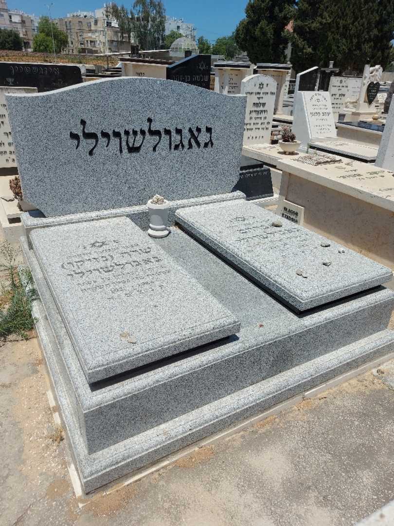 קברו של שרה "נזיקו" גאגואשוילי. תמונה 1