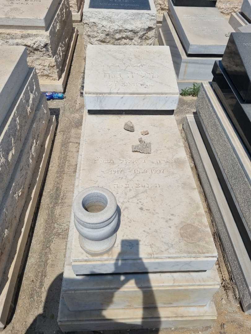 קברו של מיליה ג'נח