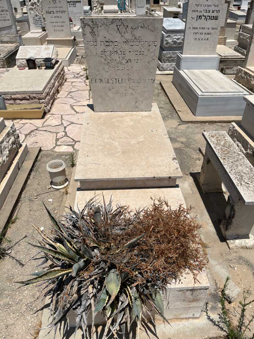קברו של ברכה פינקלשטיין