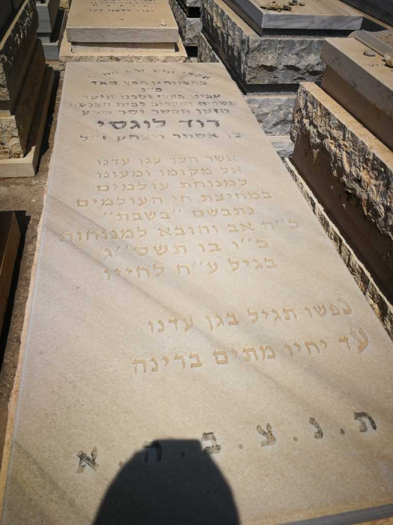 קברו של דוד לוגסי