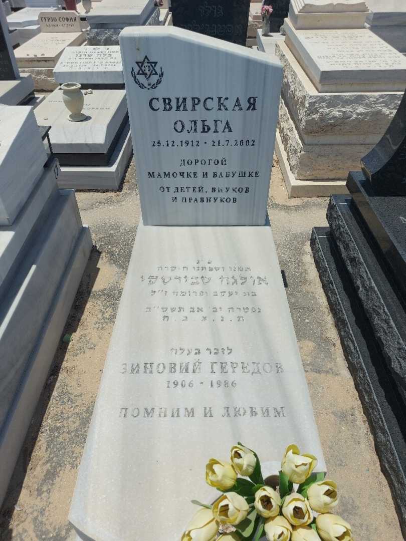 קברו של זינובי גרדוב