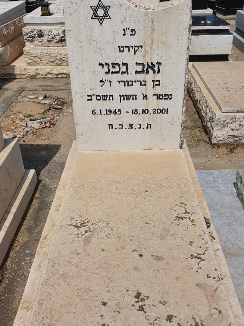 קברו של זאב גפני