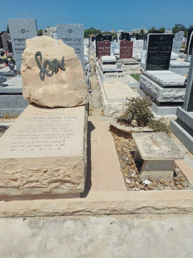 קברו של מישל שמעון אלוש. תמונה 1