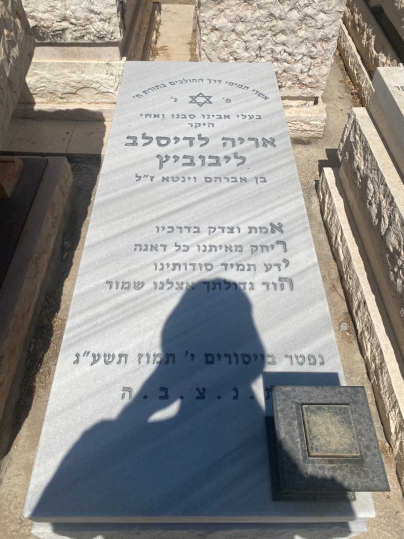 קברו של אריה לדיסלב ליבוביץ