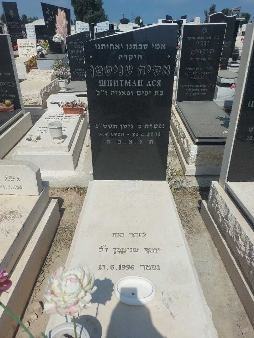 קברו של אסיה שניטמן