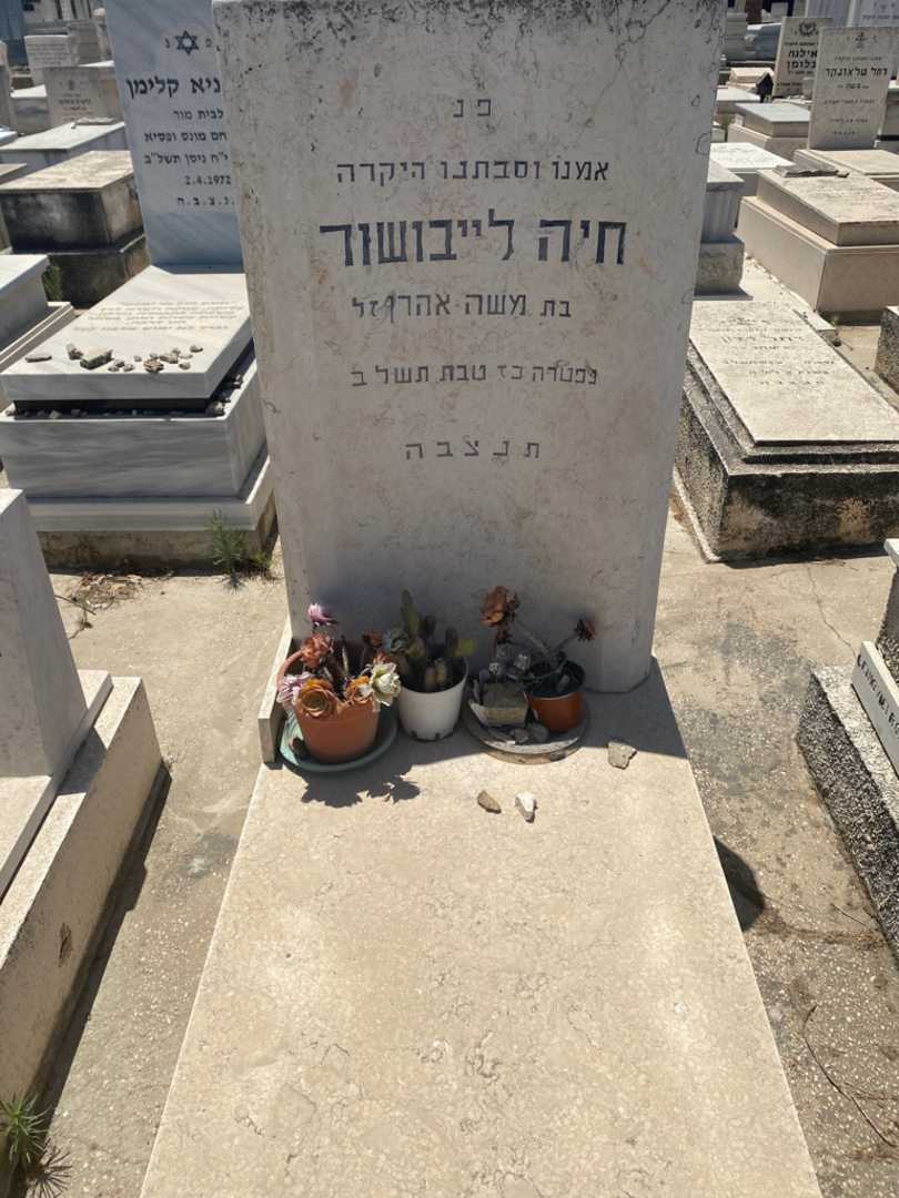 קברו של חיה ליבושור