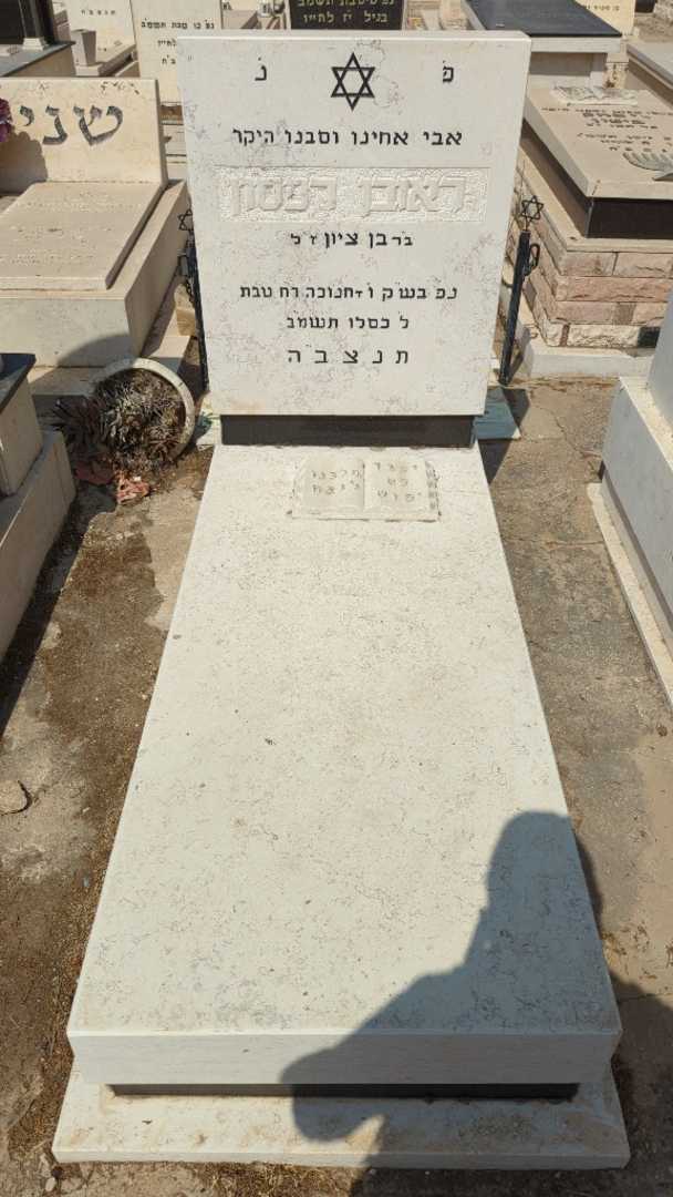 קברו של ראובן רפסון. תמונה 2